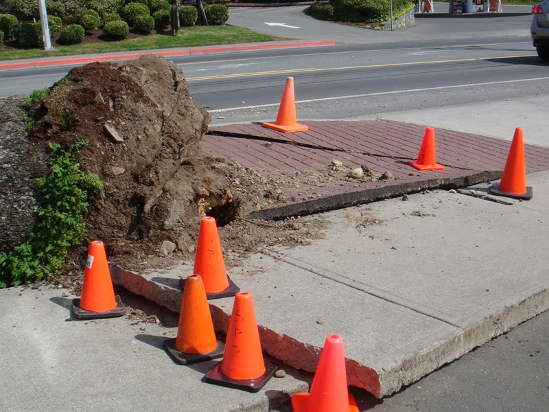 0003_claimworks_dsc03557